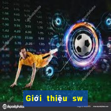 Giới thiệu sw điện tử