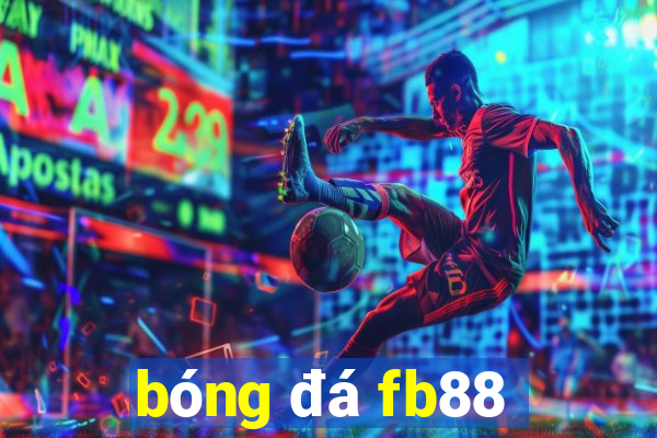 bóng đá fb88