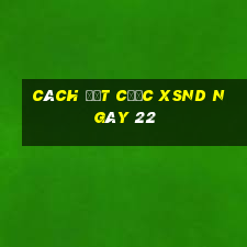 Cách đặt cược XSND ngày 22