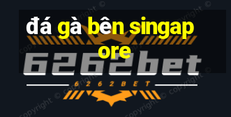 đá gà bên singapore