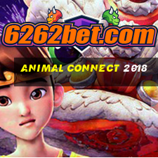 animal connect 2018