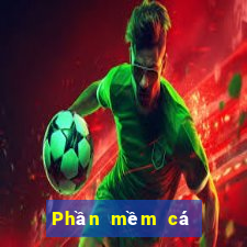 Phần mềm cá cược ag