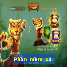 Phần mềm cá cược ag