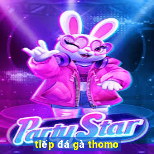 tiếp đá gà thomo