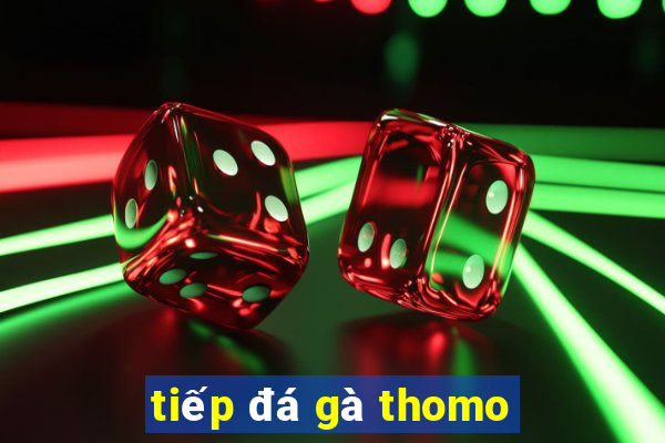 tiếp đá gà thomo