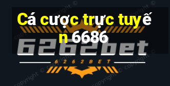 Cá cược trực tuyến 6686