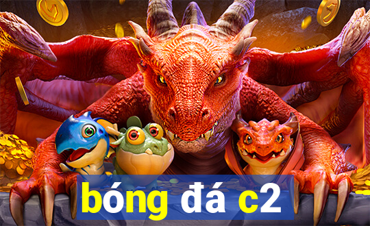 bóng đá c2