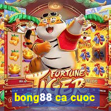 bong88 ca cuoc