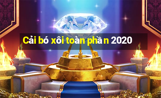 Cải bó xôi toàn phần 2020