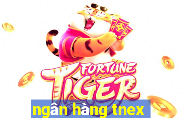 ngân hàng tnex