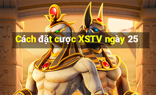 Cách đặt cược XSTV ngày 25