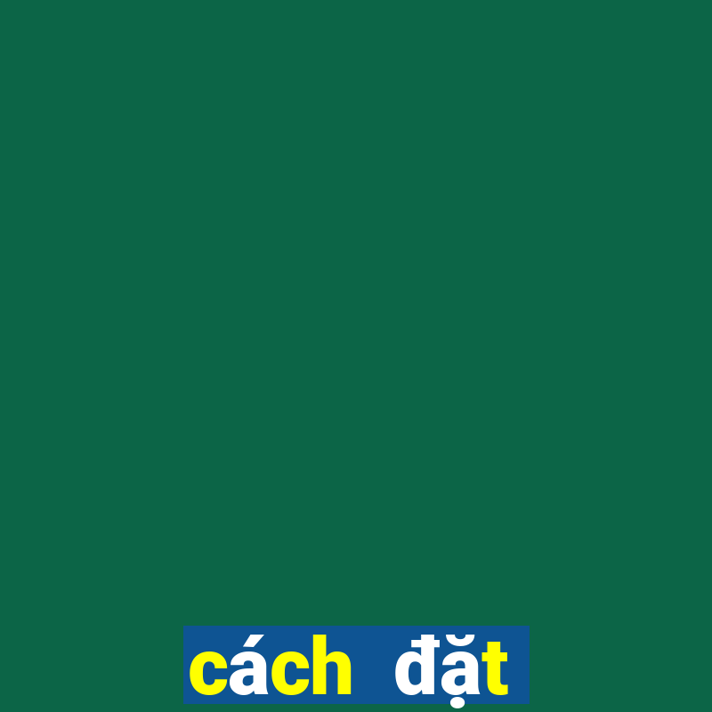 cách đặt cược Phỏm