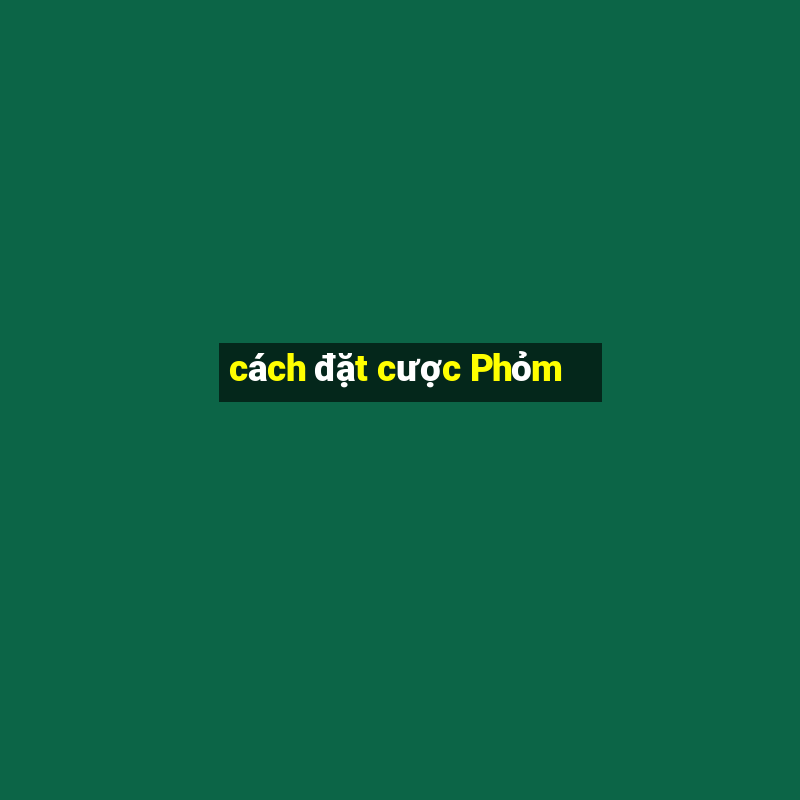 cách đặt cược Phỏm