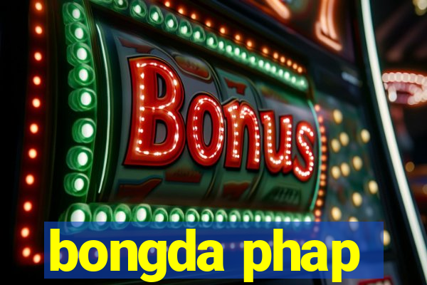 bongda phap