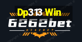 Dp313 Win