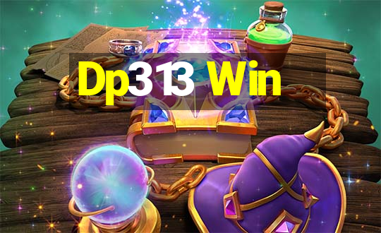 Dp313 Win