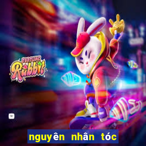 nguyên nhân tóc nhanh bết