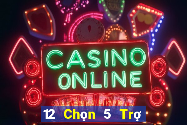 12 Chọn 5 Trợ lý Tải về