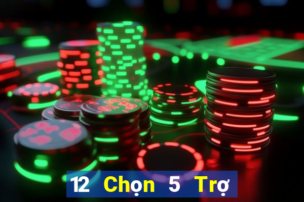 12 Chọn 5 Trợ lý Tải về