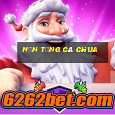 Nền tảng cà chua