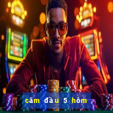 câm đầu 5 hôm sau đánh con gì