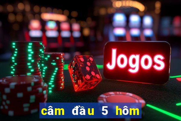 câm đầu 5 hôm sau đánh con gì