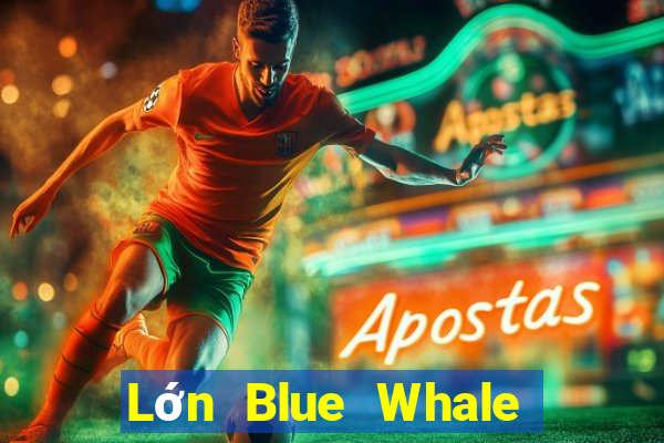 Lớn Blue Whale Giải trí