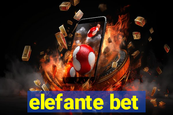 elefante bet