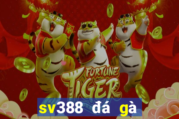 sv388 đá gà trực tiếp thomo