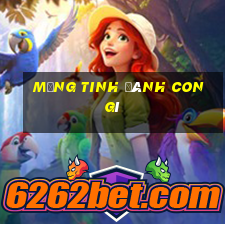 mộng tinh đánh con gì