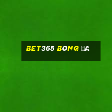 bet365 bóng đá