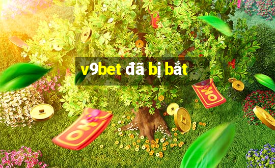 v9bet đã bị bắt