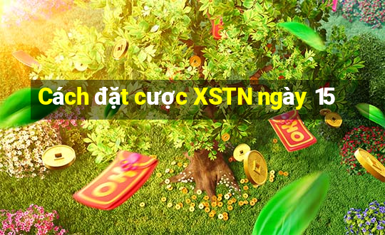 Cách đặt cược XSTN ngày 15