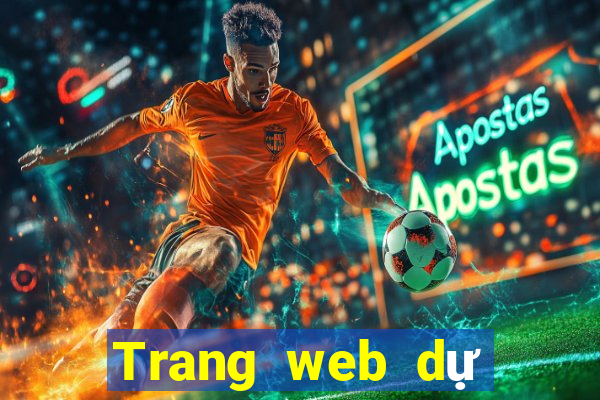 Trang web dự đoán bóng đá rất chính xác