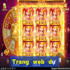 Trang web dự đoán bóng đá rất chính xác