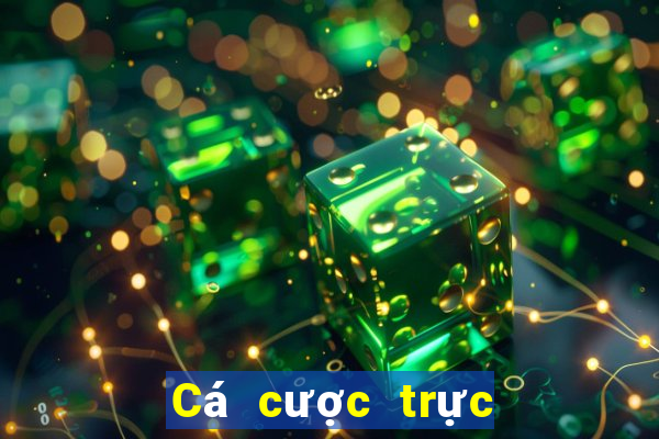 Cá cược trực tuyến maxvin