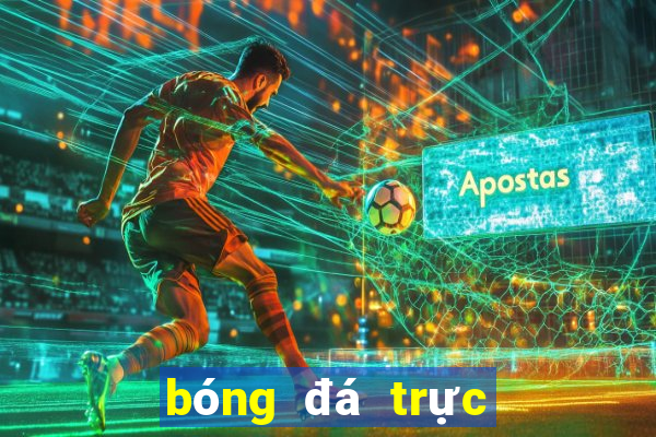 bóng đá trực tiếp u23 châu á