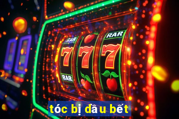 tóc bị dầu bết