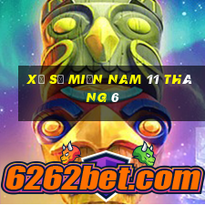 xổ số miền nam 11 tháng 6