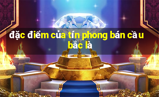 đặc điểm của tín phong bán cầu bắc là