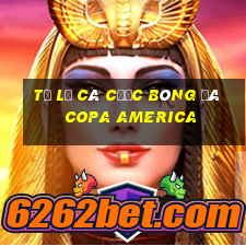 tỷ lệ cá cược bóng đá copa america