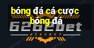 bóng đá cá cược bóng đá