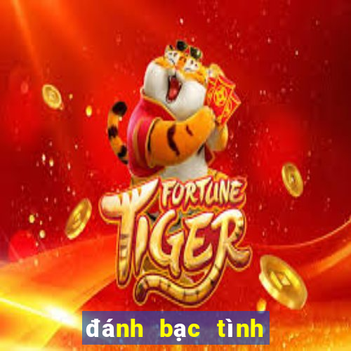 đánh bạc tình yêu tập 86