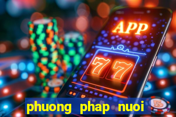 phuong phap nuoi lo hieu qua