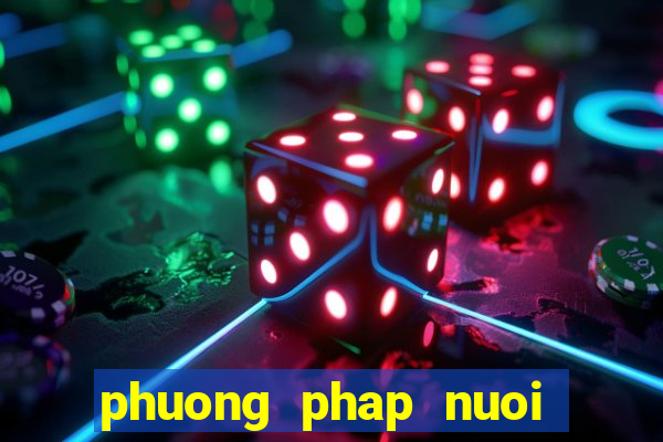 phuong phap nuoi lo hieu qua