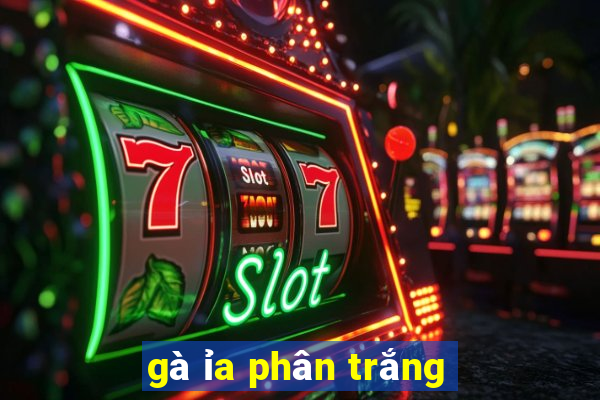 gà ỉa phân trắng