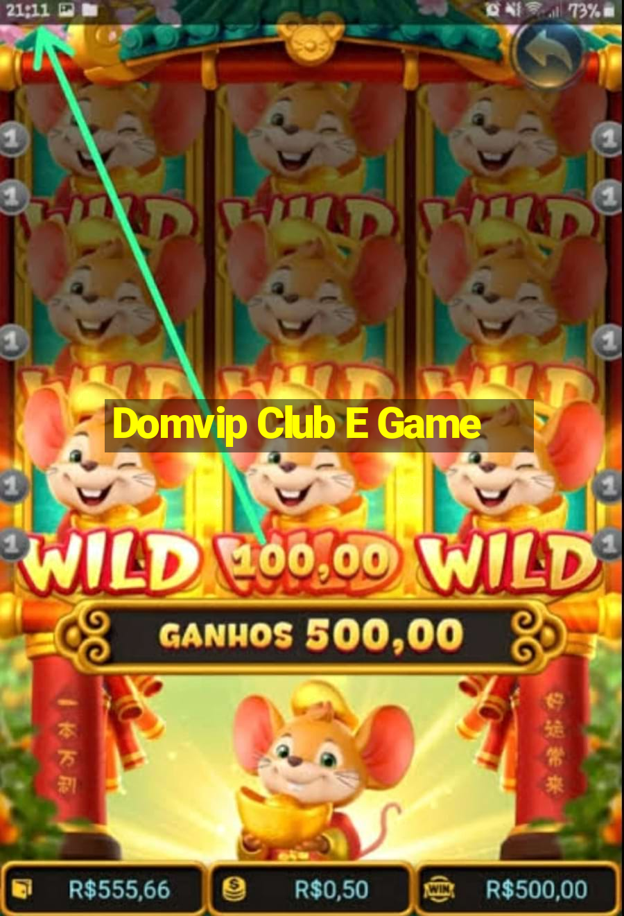 Domvip Club E Game