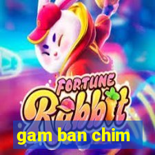 gam ban chim