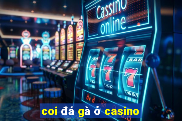 coi đá gà ở casino