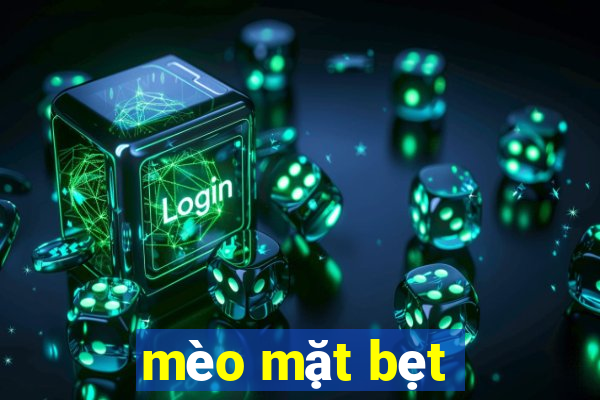 mèo mặt bẹt